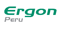 logo ergon